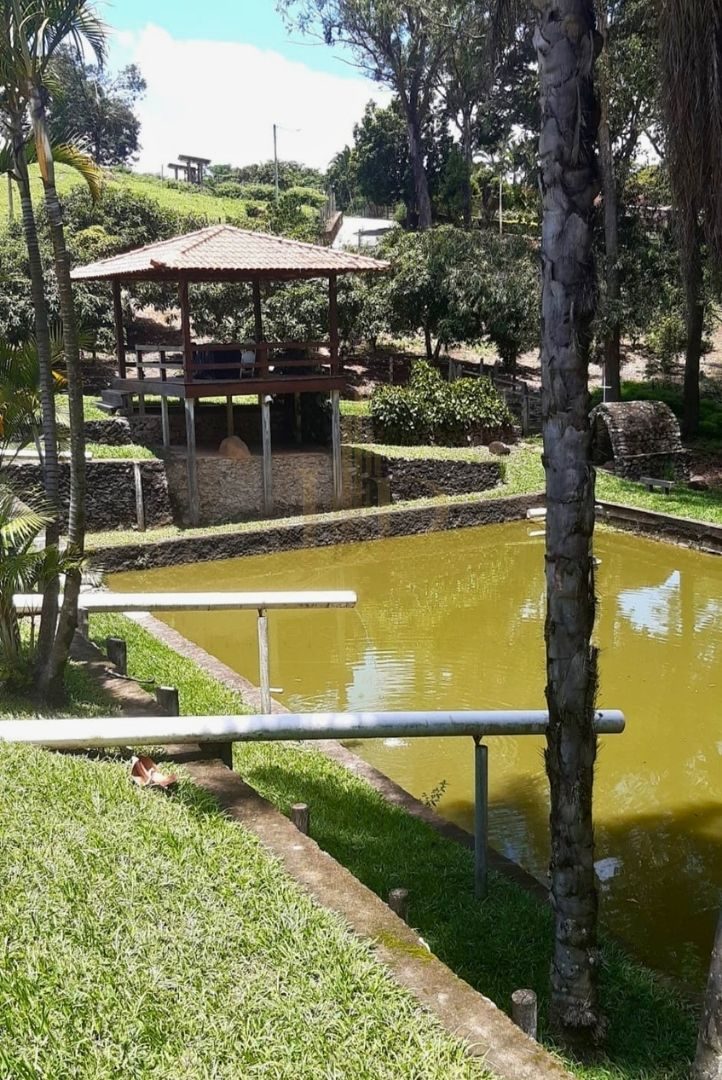Açude com píer de madeira