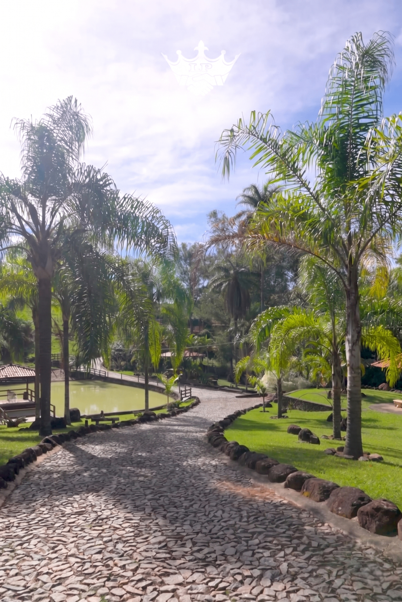 Alameda de palmeiras e açude na Fazenda Tombador