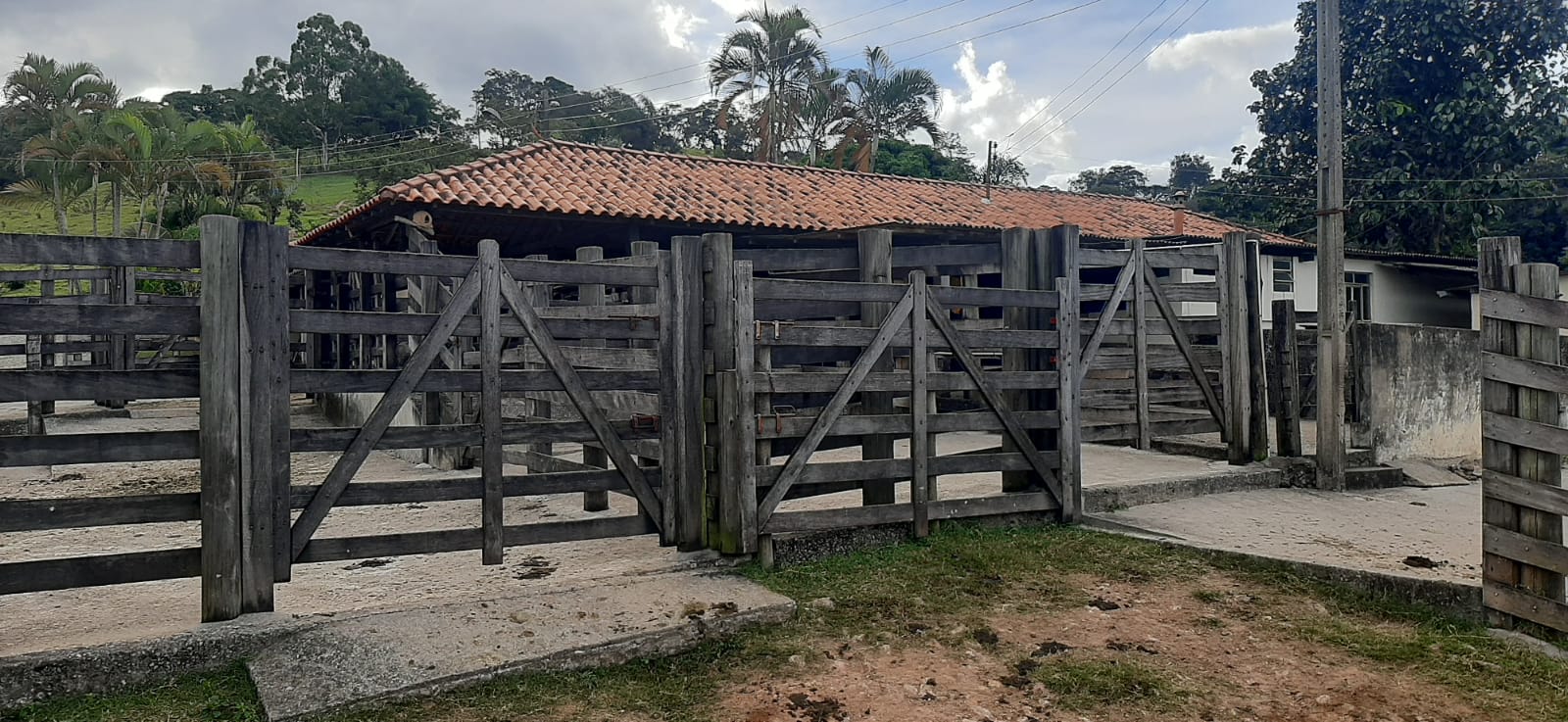 Curral estruturado da Fazenda Tombador à venda em Itaúna MG