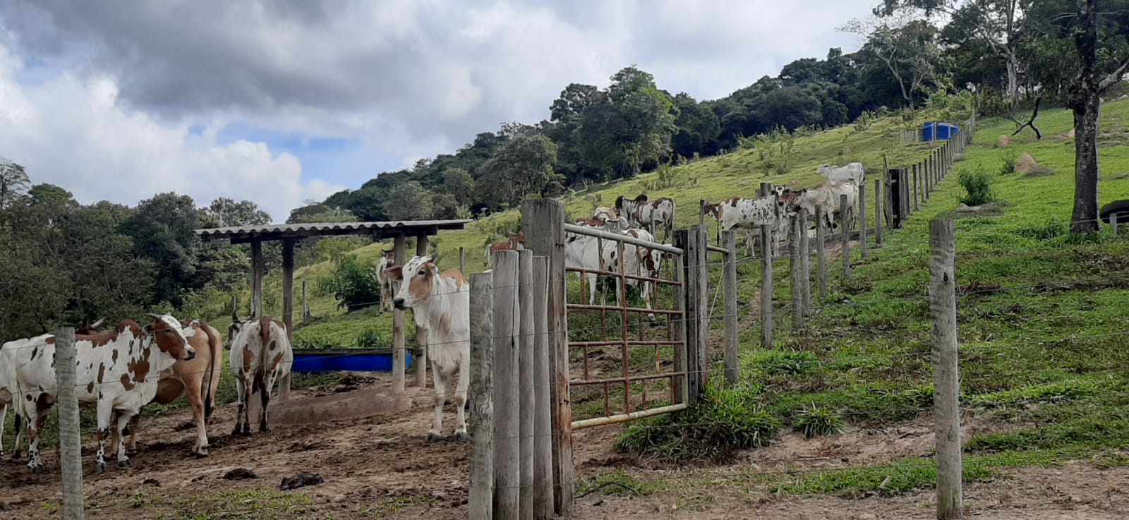 Pastagens e estrutura rural da Fazenda Tombador em Minas Gerais